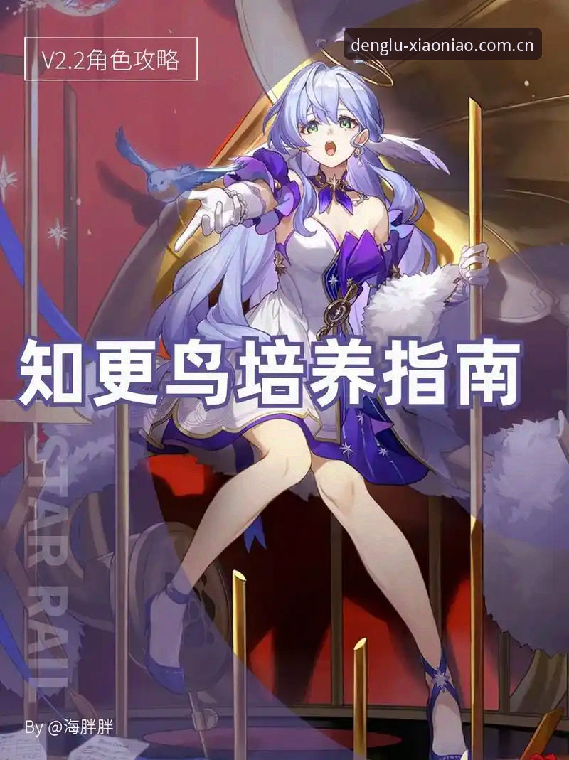 小鸟体育平台手机登录对比完整指南：从注册到数据传输安全的深度解析